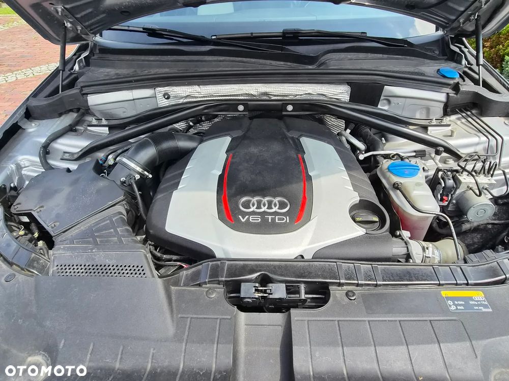 Audi SQ5 3.0 TDI Quattro Tiptr - 17