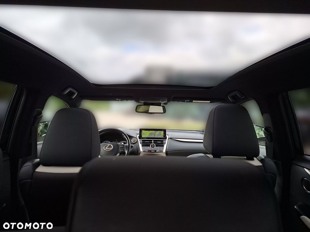 Lexus NX 300 GPF F Sport AWD - 26