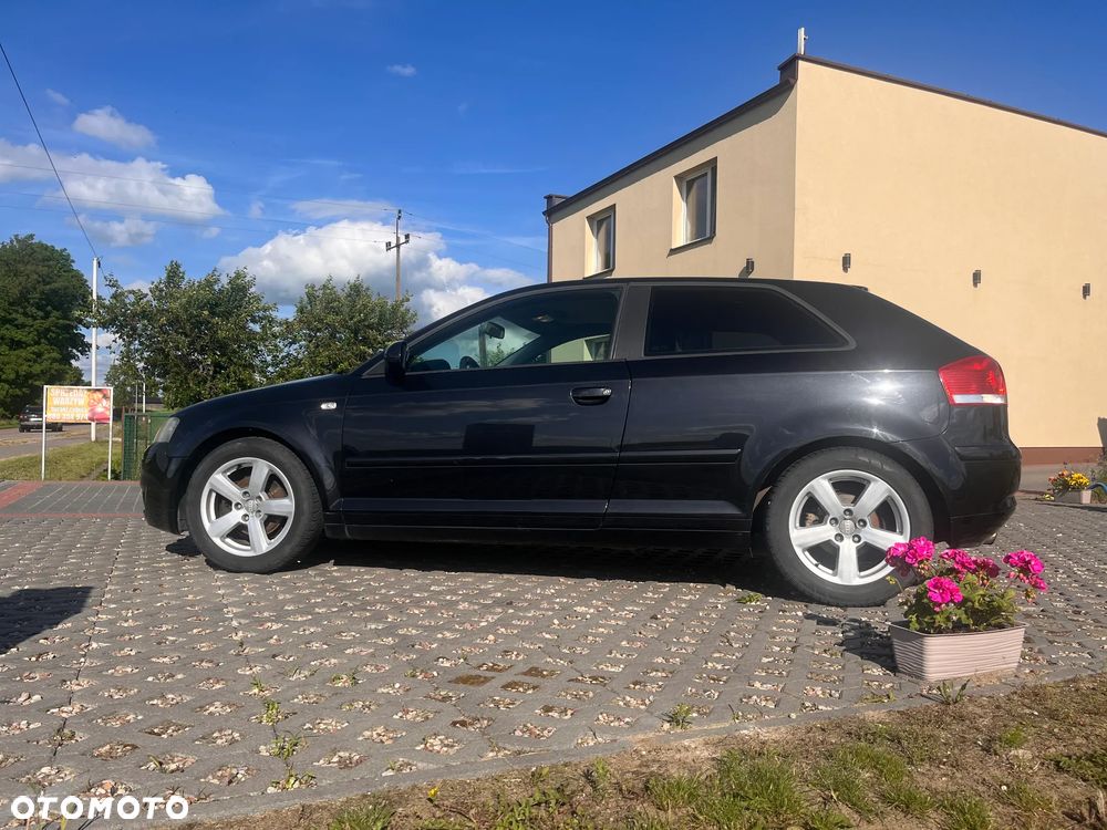 Audi A3 3-drzwiowe 1.6 Ambition - 2