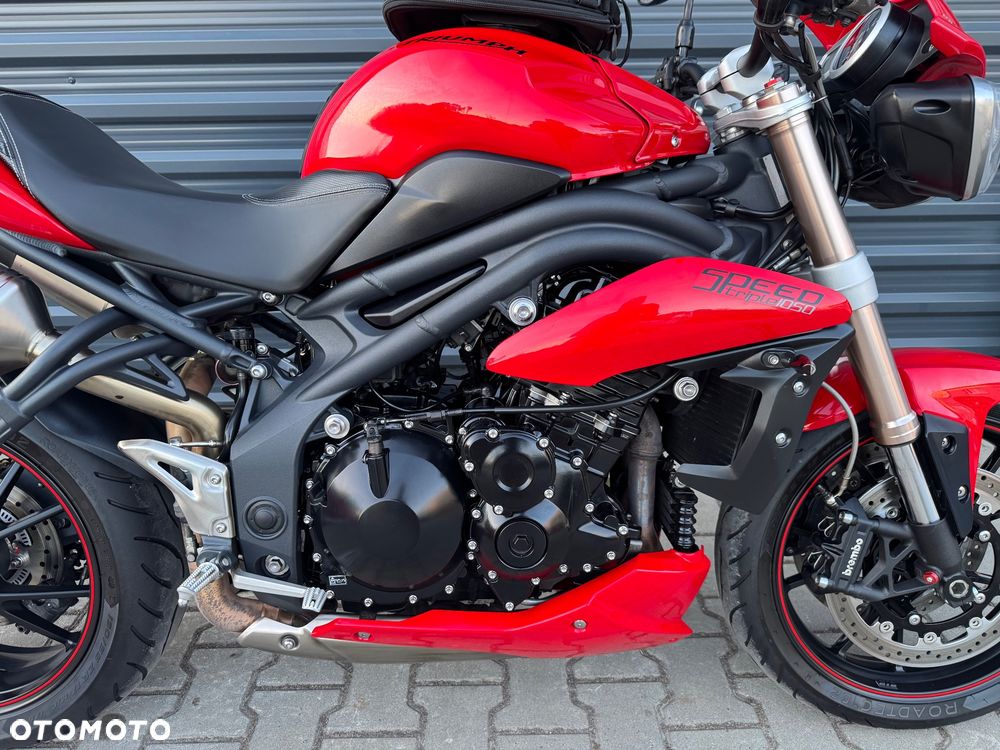 Triumph Speed Triple - 14