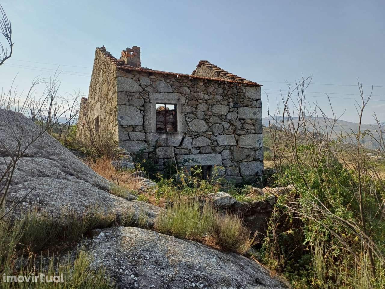 Quinta  Venda em Linhares,Celorico da Beira - Grande imagem: 2/10