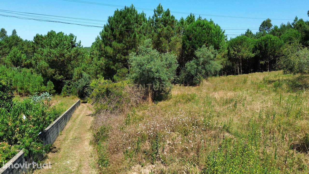 Terreno com 2020m2 para construção em Carnide - Grande imagem: 2/58