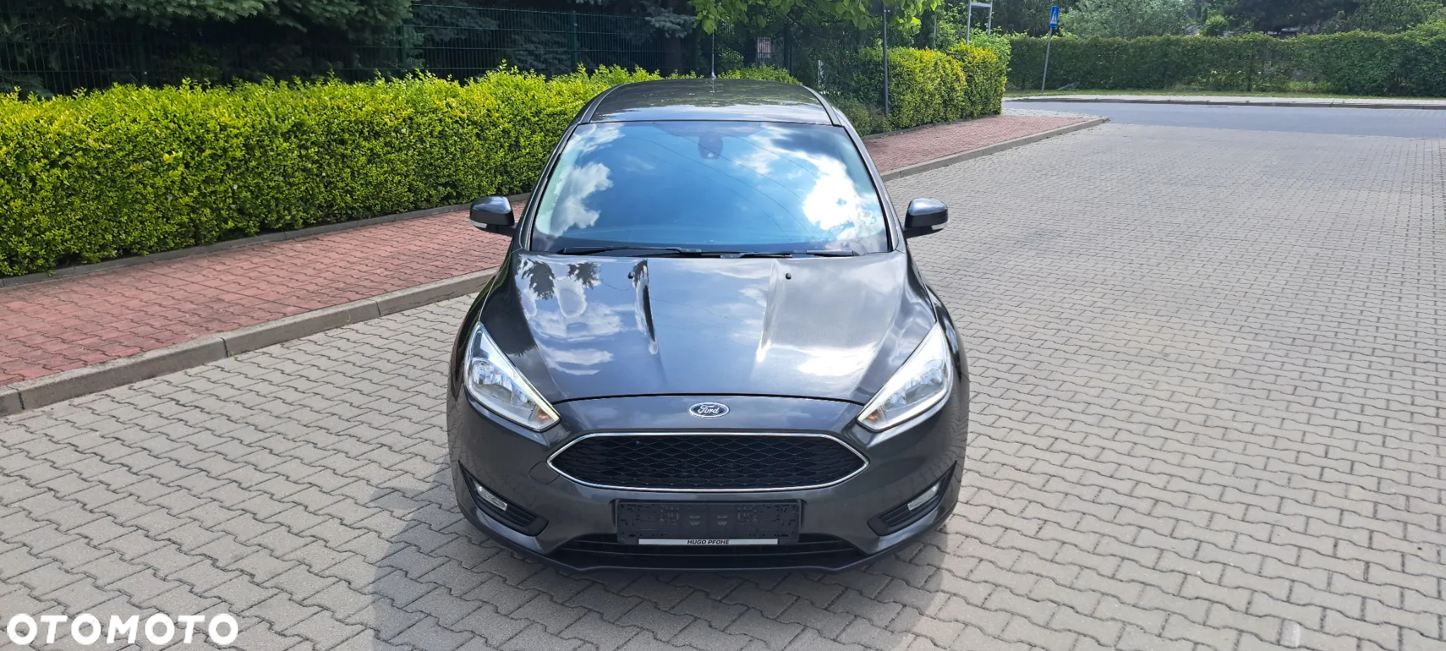 Ford Focus - 16