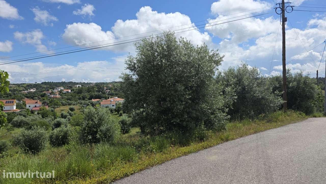Excelente Terreno para Moradia a 5 kms de Tomar - Grande imagem: 2/35