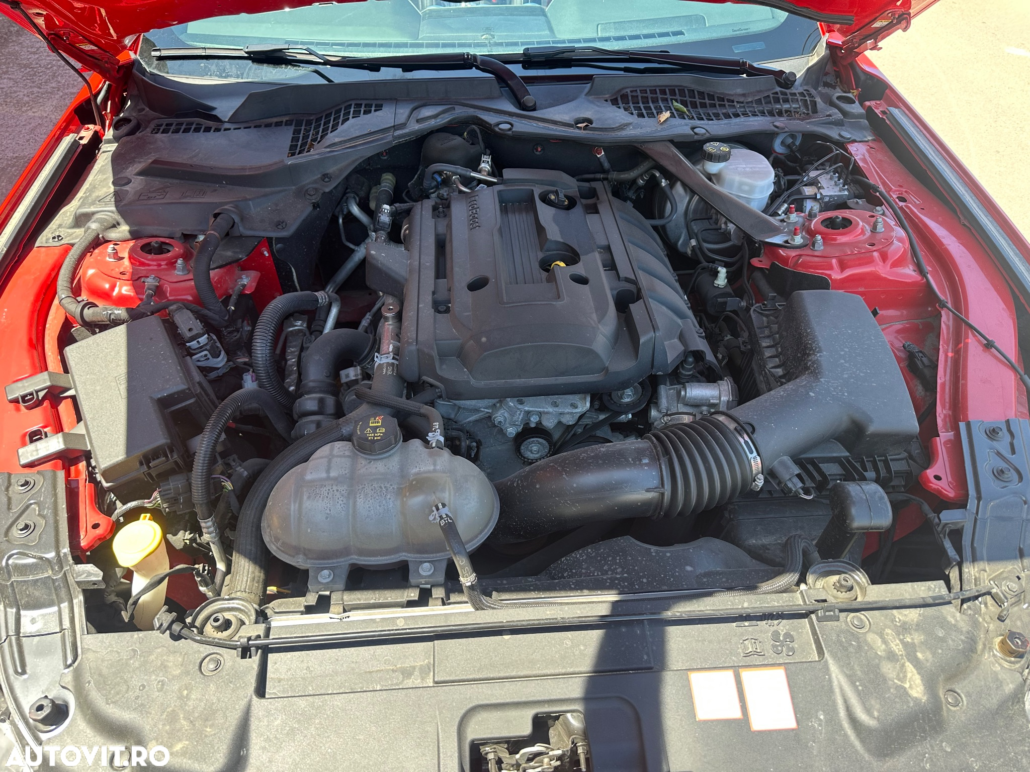 Ford Mustang Convertible 2.3 Eco Boost Aut. - 40