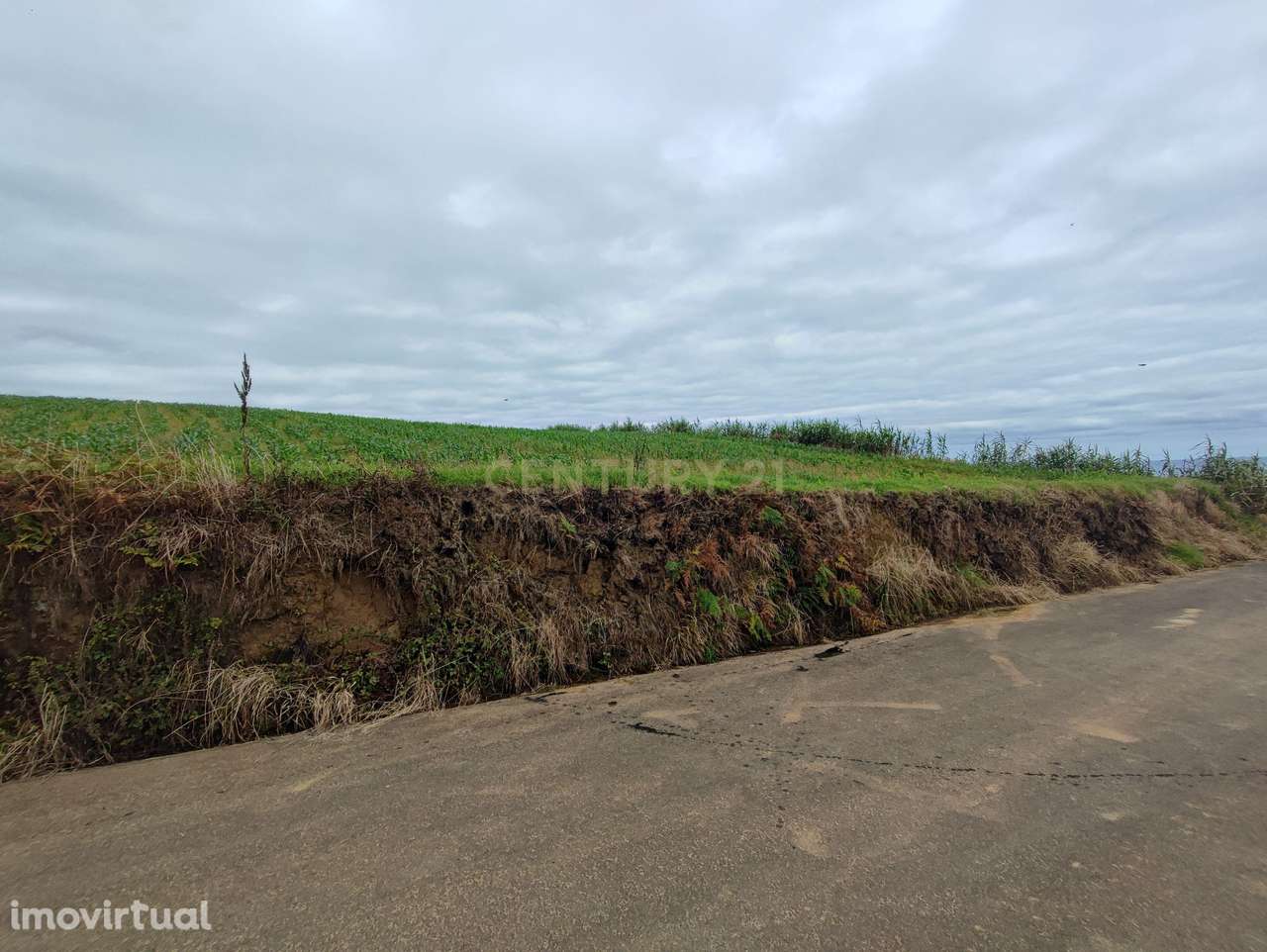 Terreno, 8 420 m², Porto Formoso - Grande imagem: 5/7
