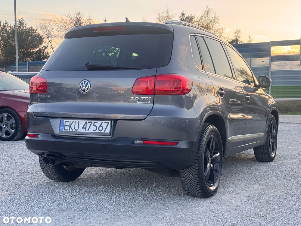 Volkswagen Tiguan 2.0 TDI DPF BlueMotion Technology Cup Sport & Style - 7