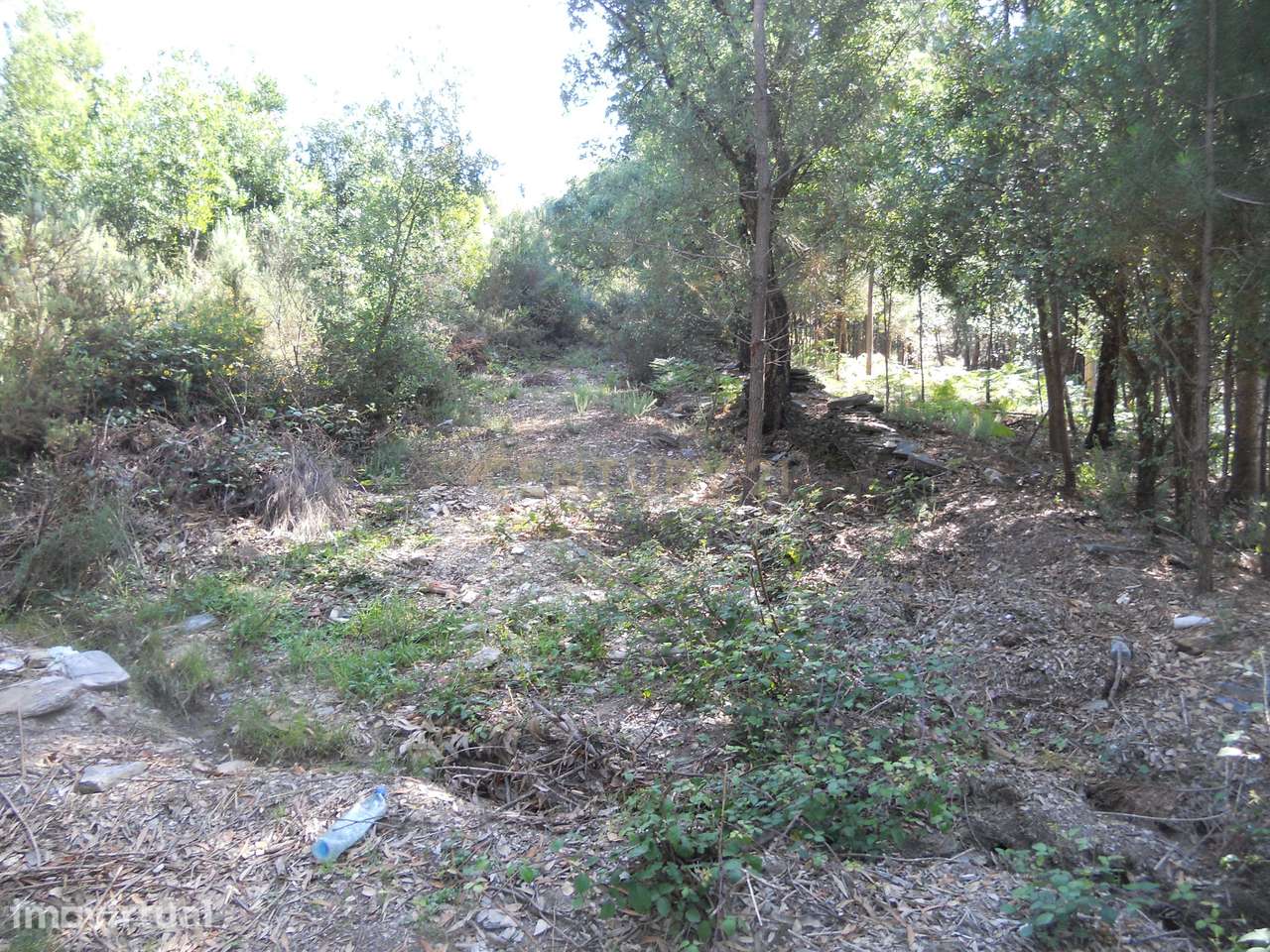 Terreno para Moradia ou Habitação Coletiva, c/ 7200 m2 em Valongo - Grande imagem: 4/8