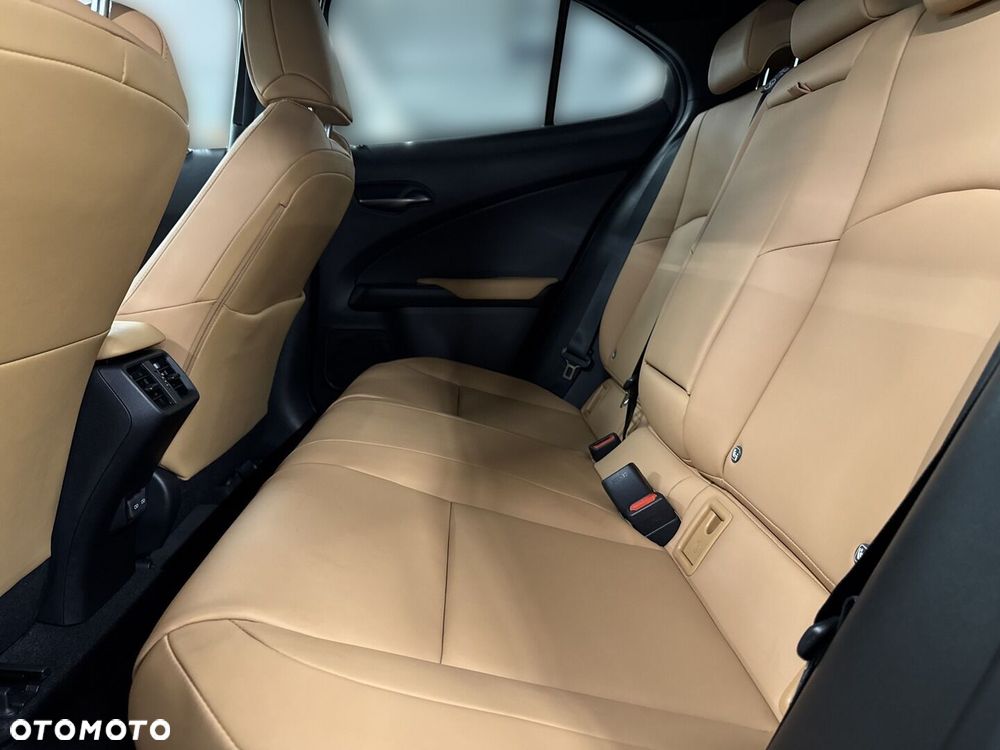 Lexus UX 300h F Sport Design AWD - 10