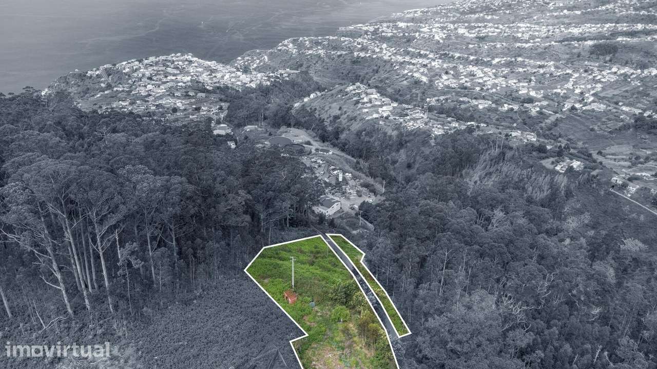 Oportunidade Única no Arco da Calheta – Terreno Urbano com 5.181 m2 - Grande imagem: 4/26