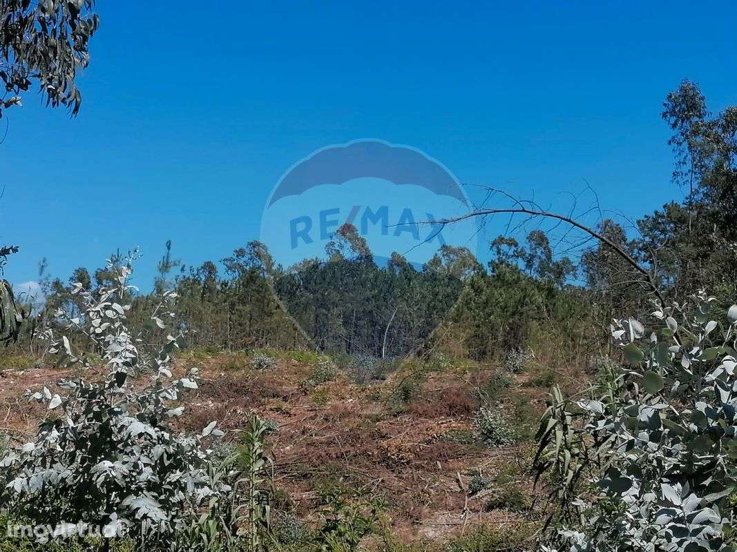 Terreno  para venda - Grande imagem: 4/16