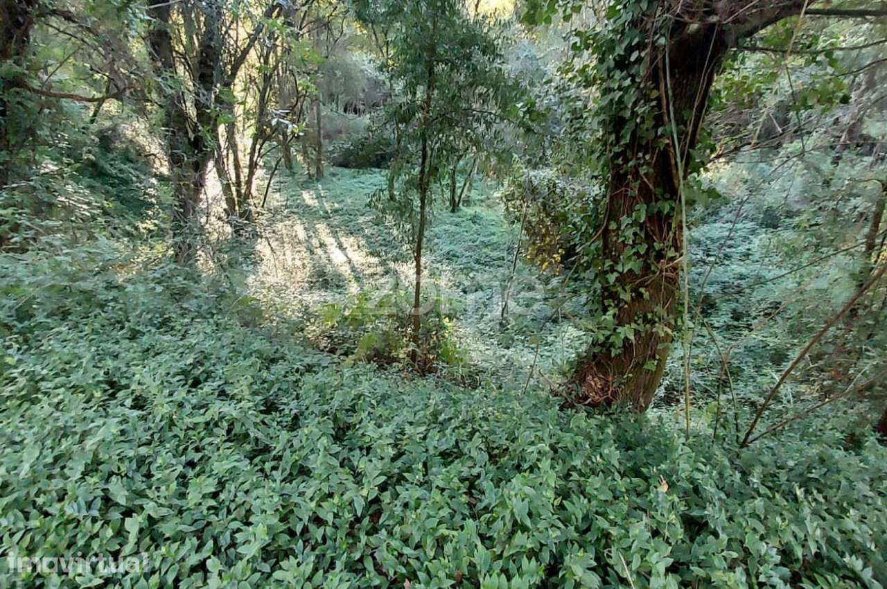 Terreno Rustico com 1490m2, em Gondomar, Porto - Grande imagem: 4/15