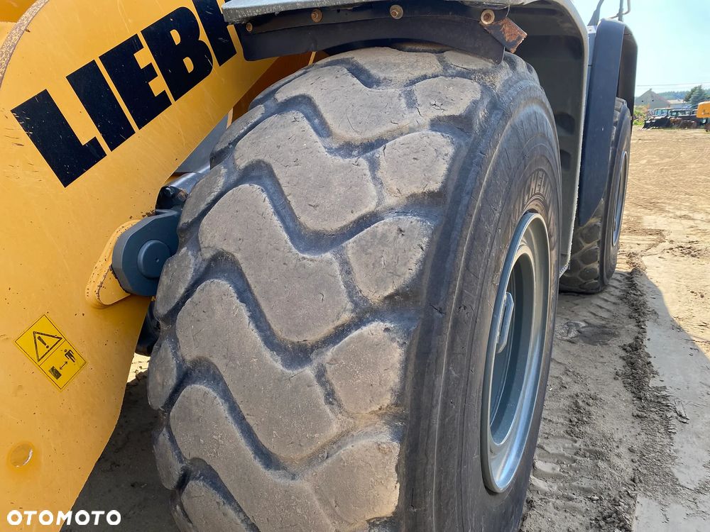 Liebherr L566 Xpower, 2020 ROK, WAGA W ŁYŻCE, z NIEMIEC, - 19