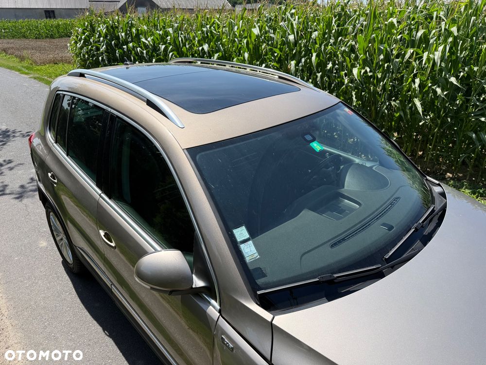 Volkswagen Tiguan - 15
