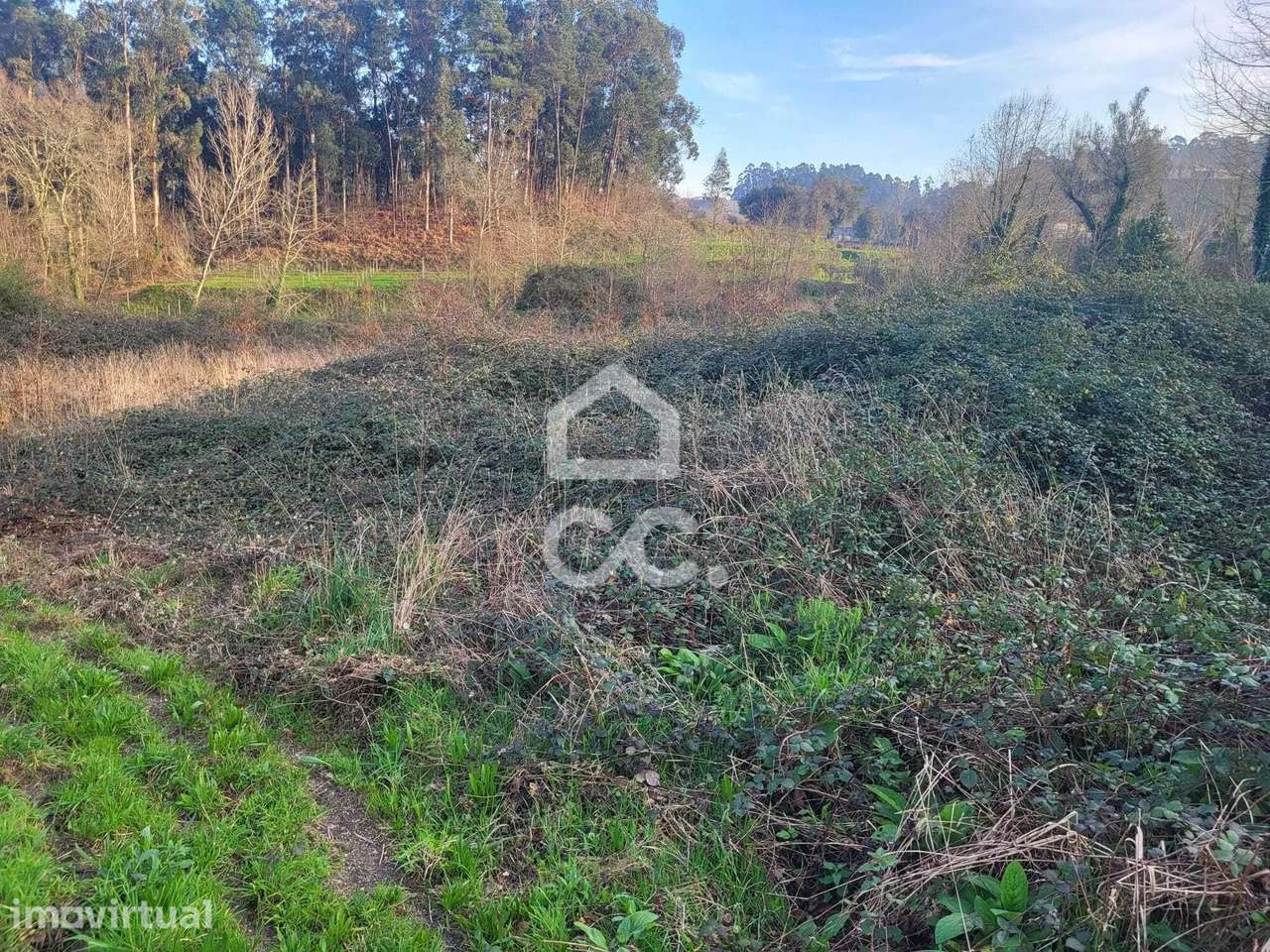 Terreno Agrícola em Silvares (São Martinho) - Fafe - Grande imagem: 2/23