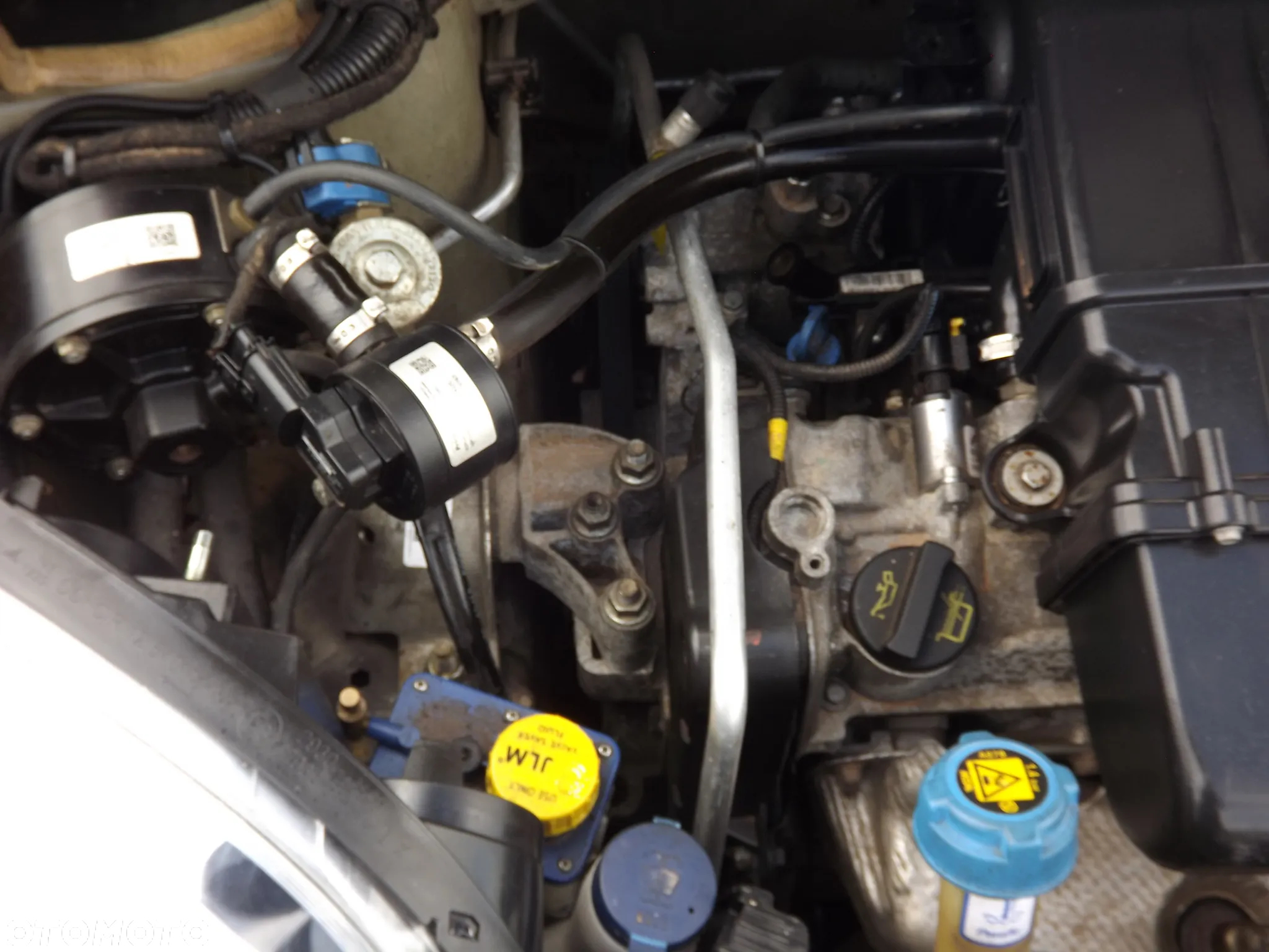 Fiat Panda 1.2 Active Eco - 13
