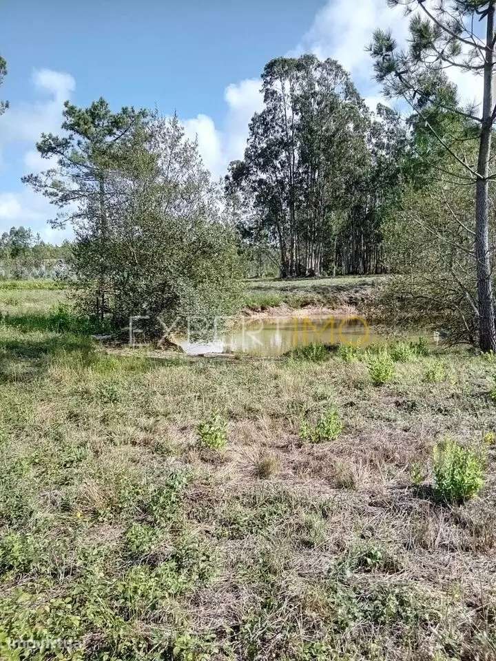 Terreno de 30 000 m2 construtivo perto praia Paredes da Vitória -... - Grande imagem: 3/4