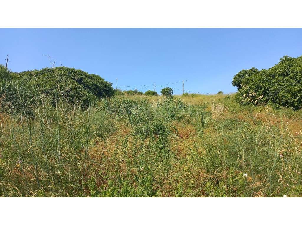 Terreno Urbano com 882 m² , em Pernes - Viabilidade de Construção - Grande imagem: 2/10