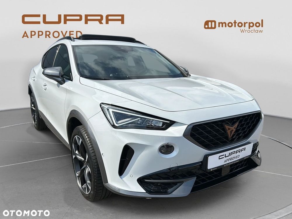 Cupra Formentor 2.0 TSI 4Drive DSG - 15