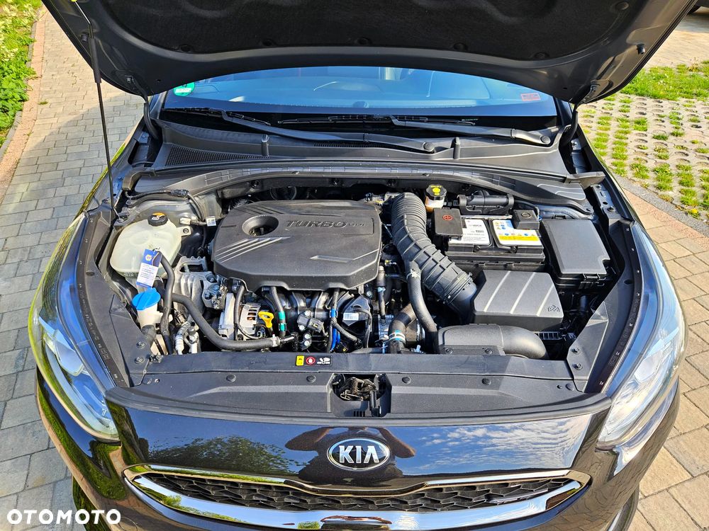 Kia ProCeed 1.6 T-GDI DCT7 OPF GT - 14