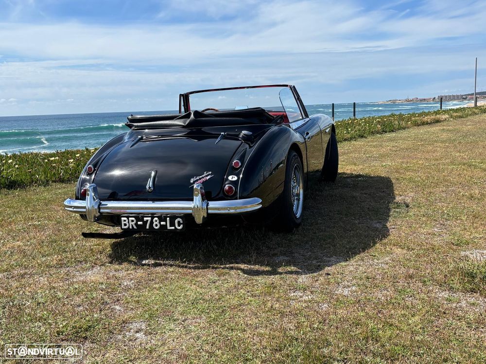Austin Healey 3000 - 15