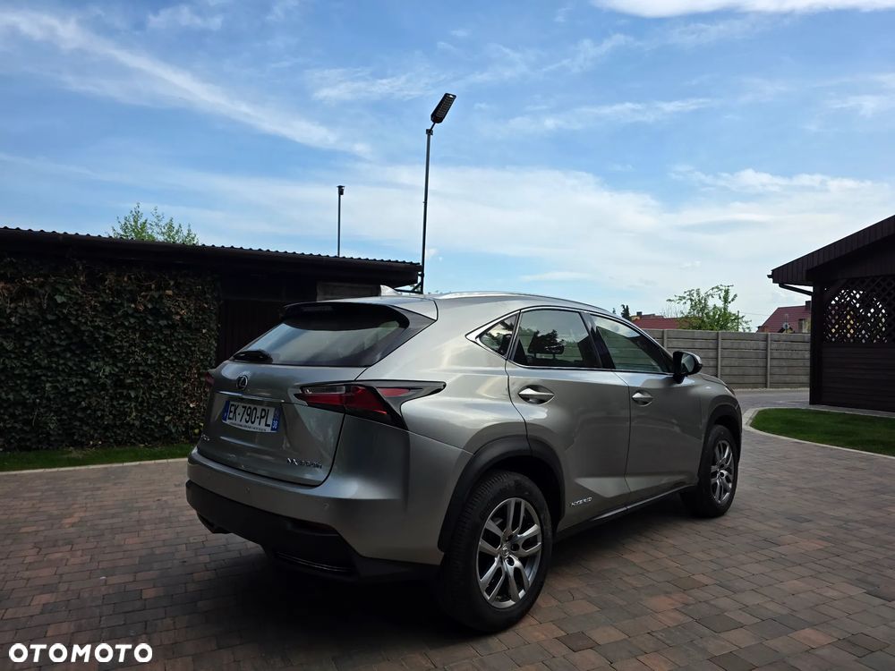Lexus NX 300h - 7
