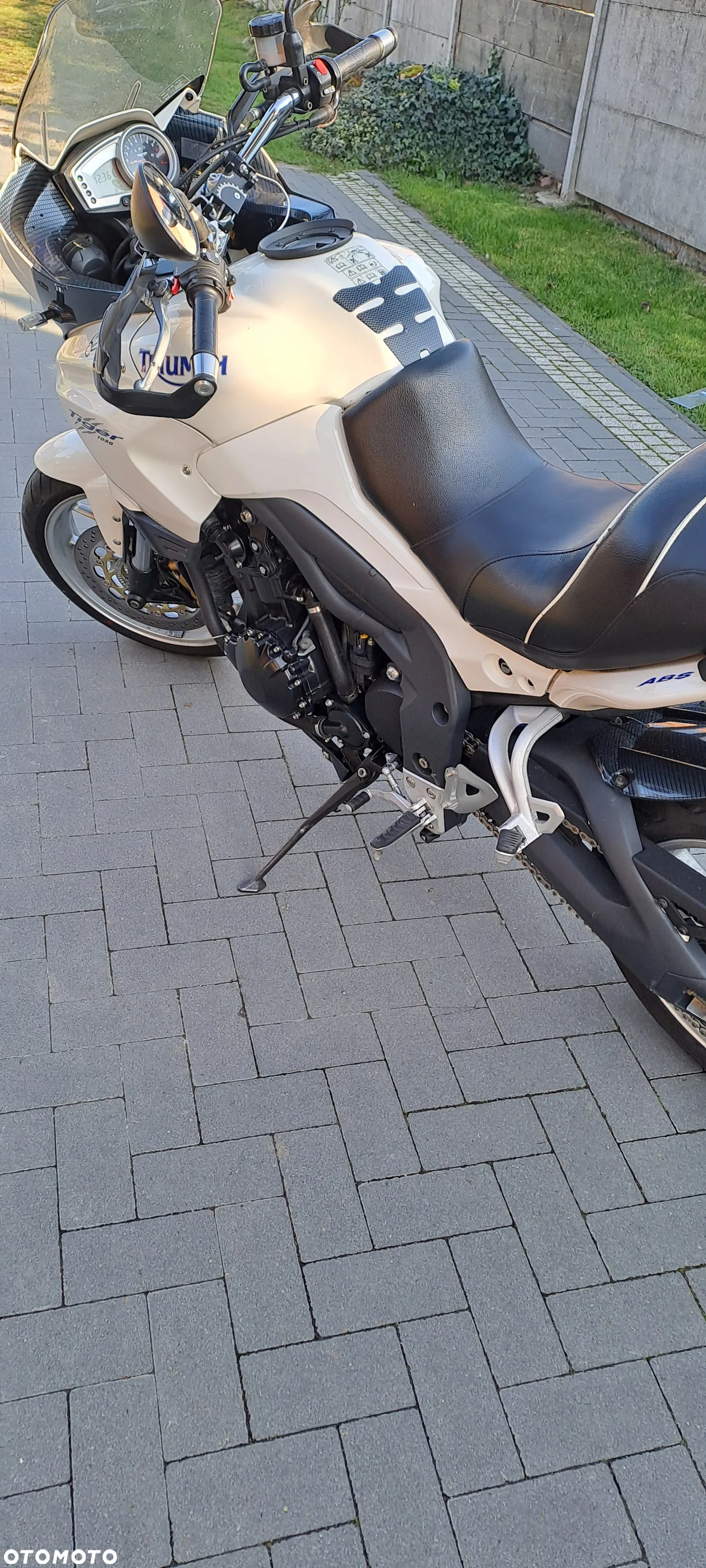 Triumph Tiger - 2
