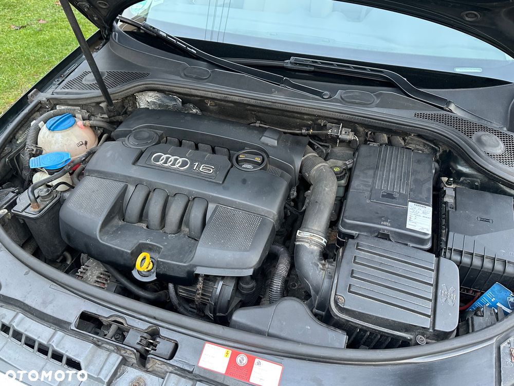 Audi A3 3-drzwiowe 1.6 Ambition - 30