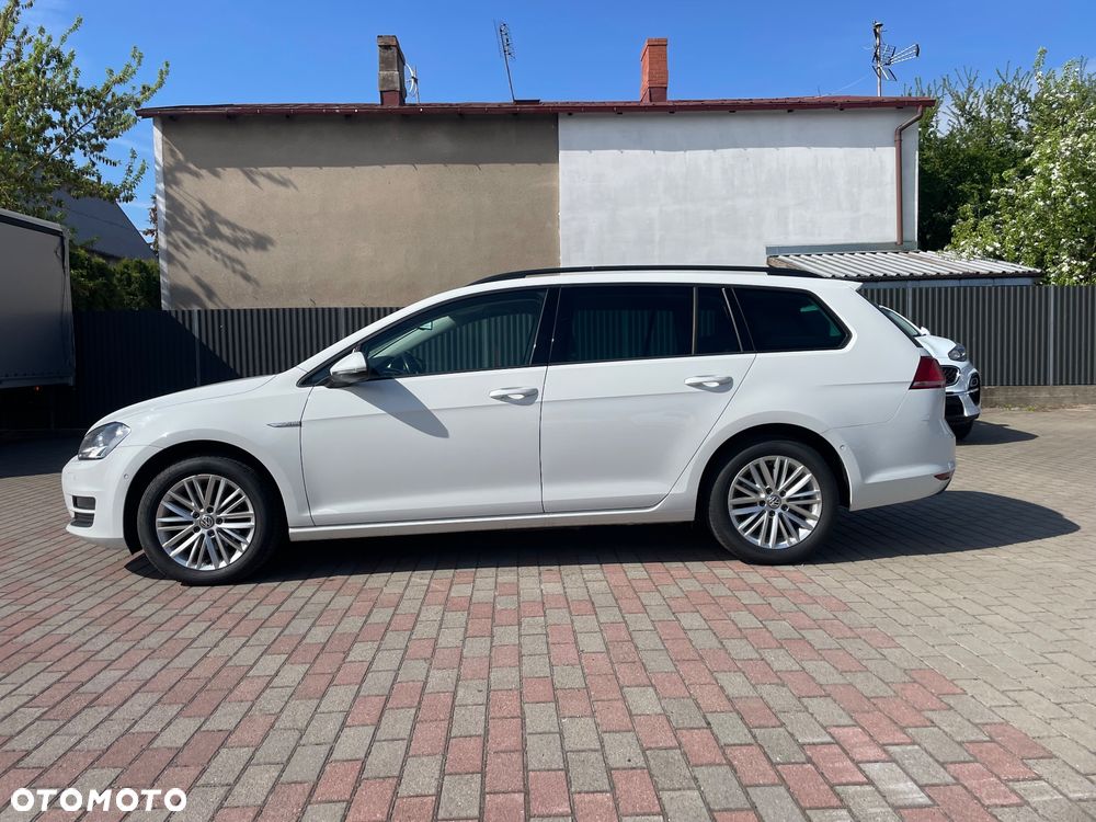 Volkswagen Golf 1.6 TDI BlueMotion Technology Cup - 13