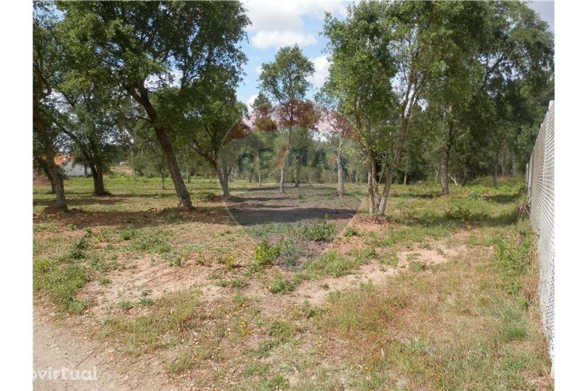 Terreno Rústico em Anadia - Grande imagem: 5/8