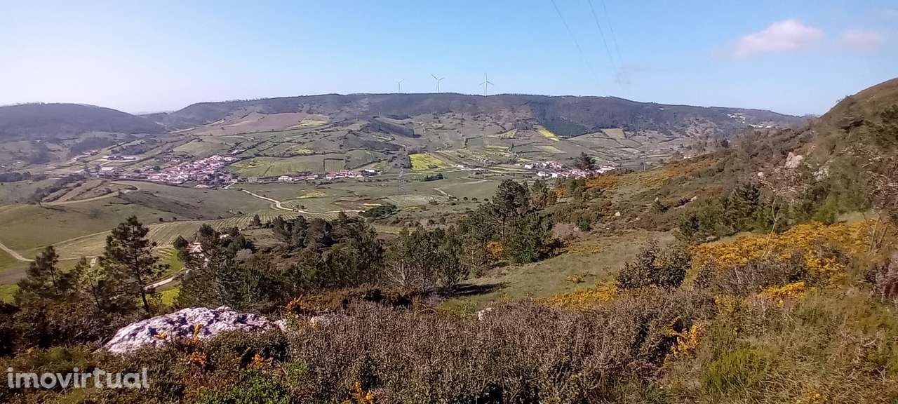 Terreno Rústico c/NASCENTE e eletricidade | 10 min Torres Vedras - Grande imagem: 5/16