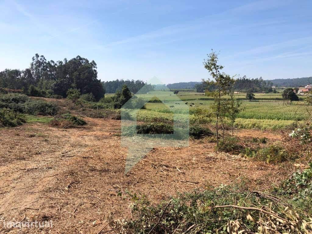 Terreno junto ribeiro, Goios Barcelos - Grande imagem: 2/13