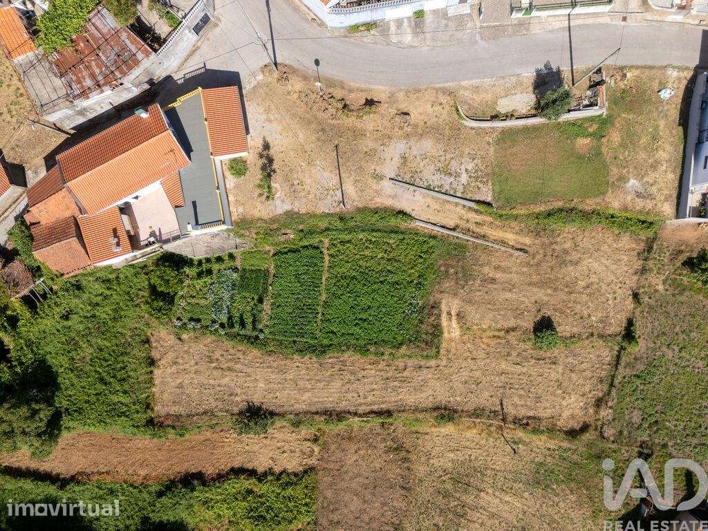 Casa de Campo T3 em Vila Nova de 150 m2 - Grande imagem: 2/35
