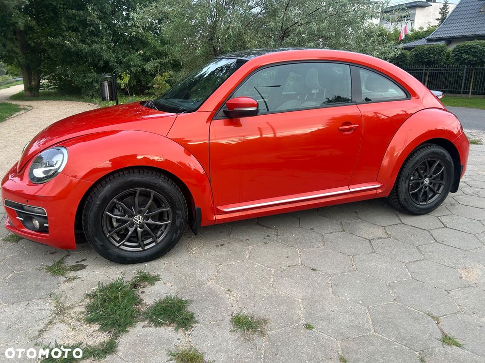 Volkswagen Beetle - 32