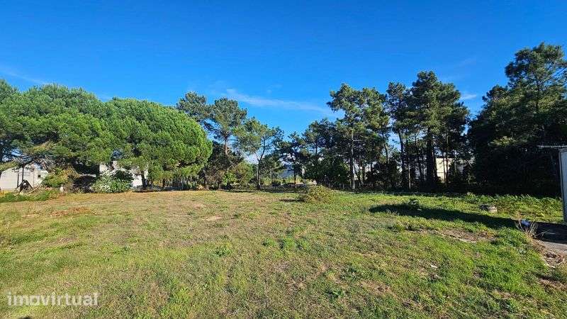 Arrendamento de Terreno em Parque Industrial – Pombal (até 3.600 m²) - Grande imagem: 3/4