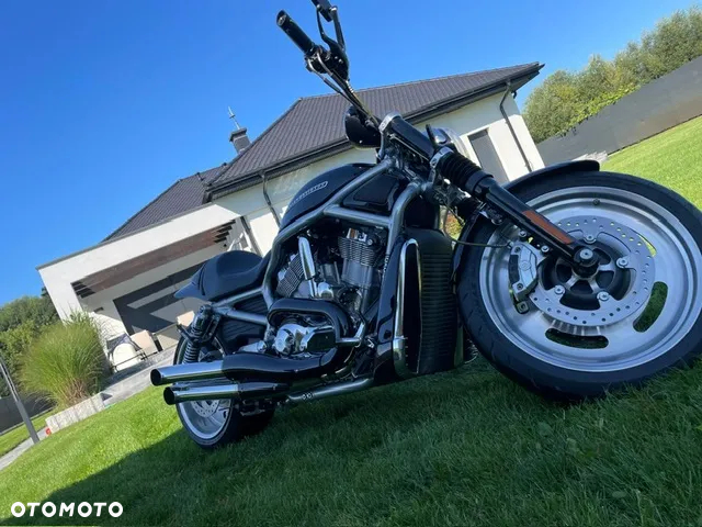 Harley-Davidson V-Rod Street Rod - 7