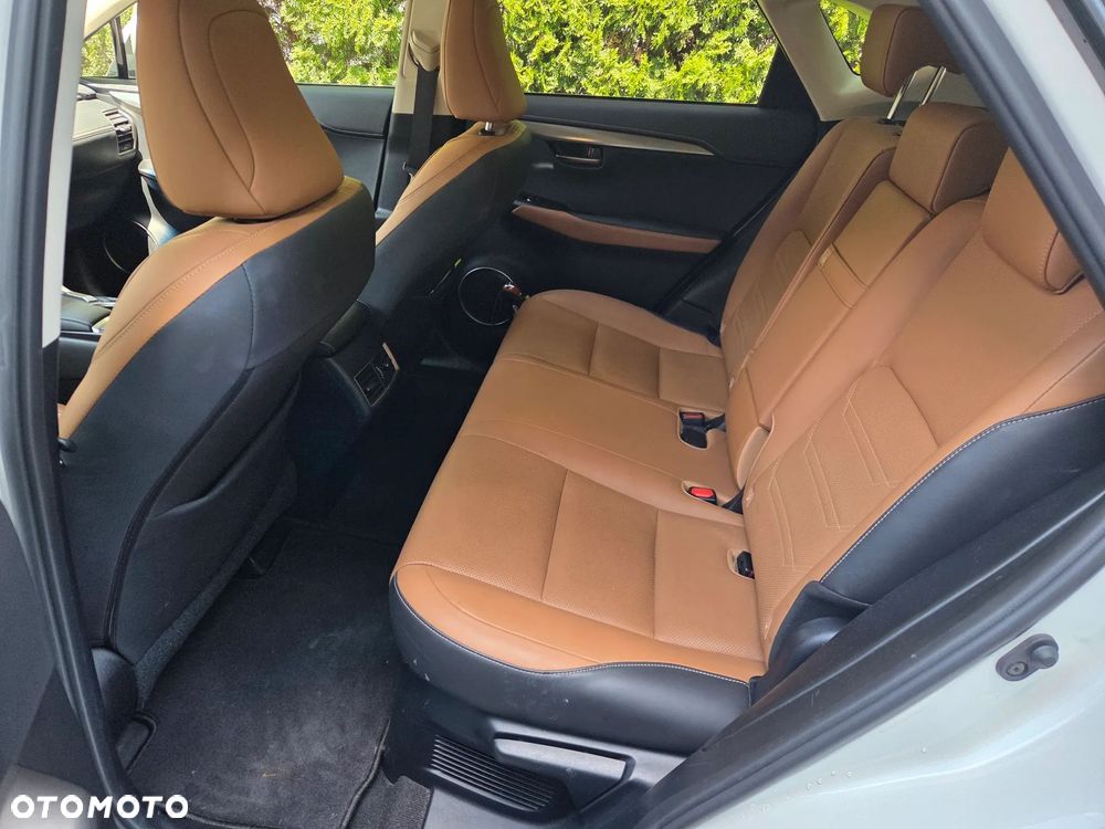 Lexus NX 300 Comfort AWD - 14