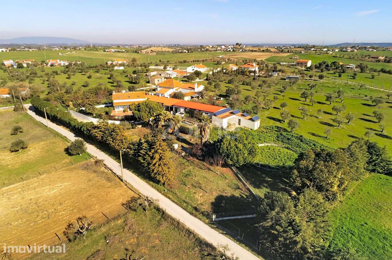 Quinta com 2 hectares, piscina, picadeiro e cavalariça - Santarém - Grande imagem: 4/60