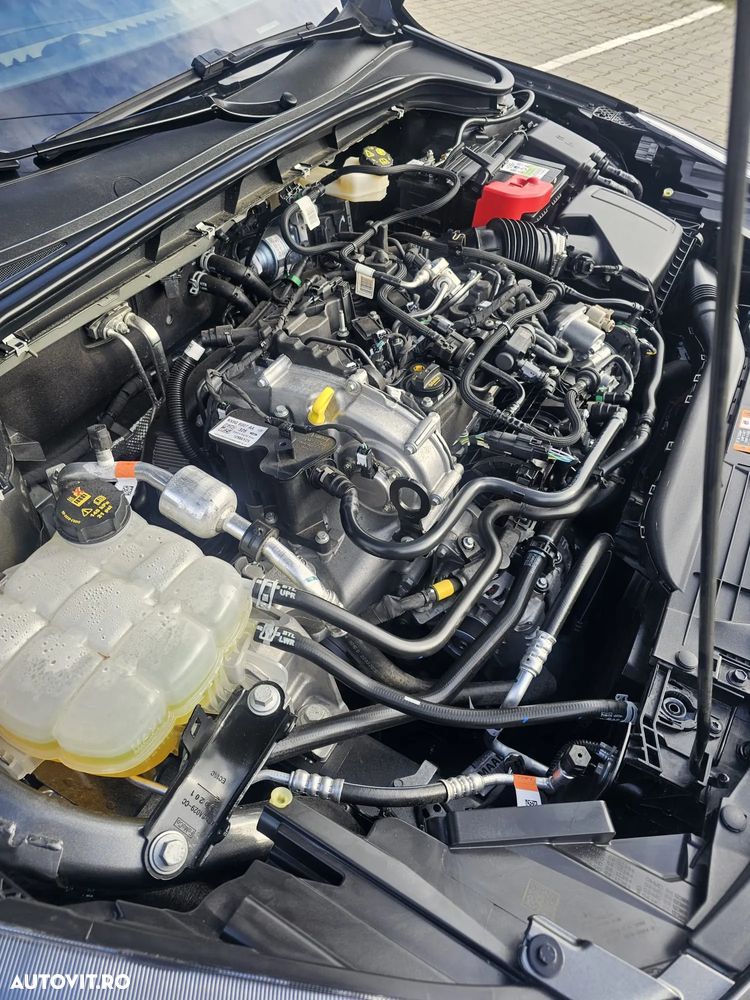 Ford Focus - 8