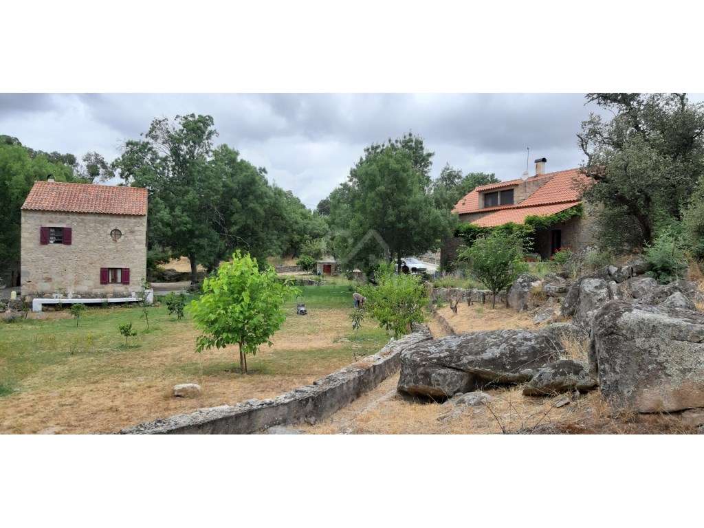 Moradia independente T5 na Ribeira da Ocreza, Alcains - Grande imagem: 3/47