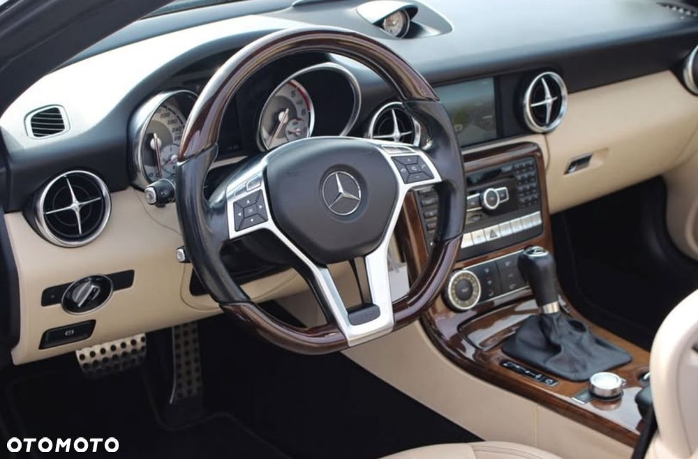 Mercedes-Benz SLK 250 CDI (BlueEFFICIENCY) 7G-TRONIC - 14
