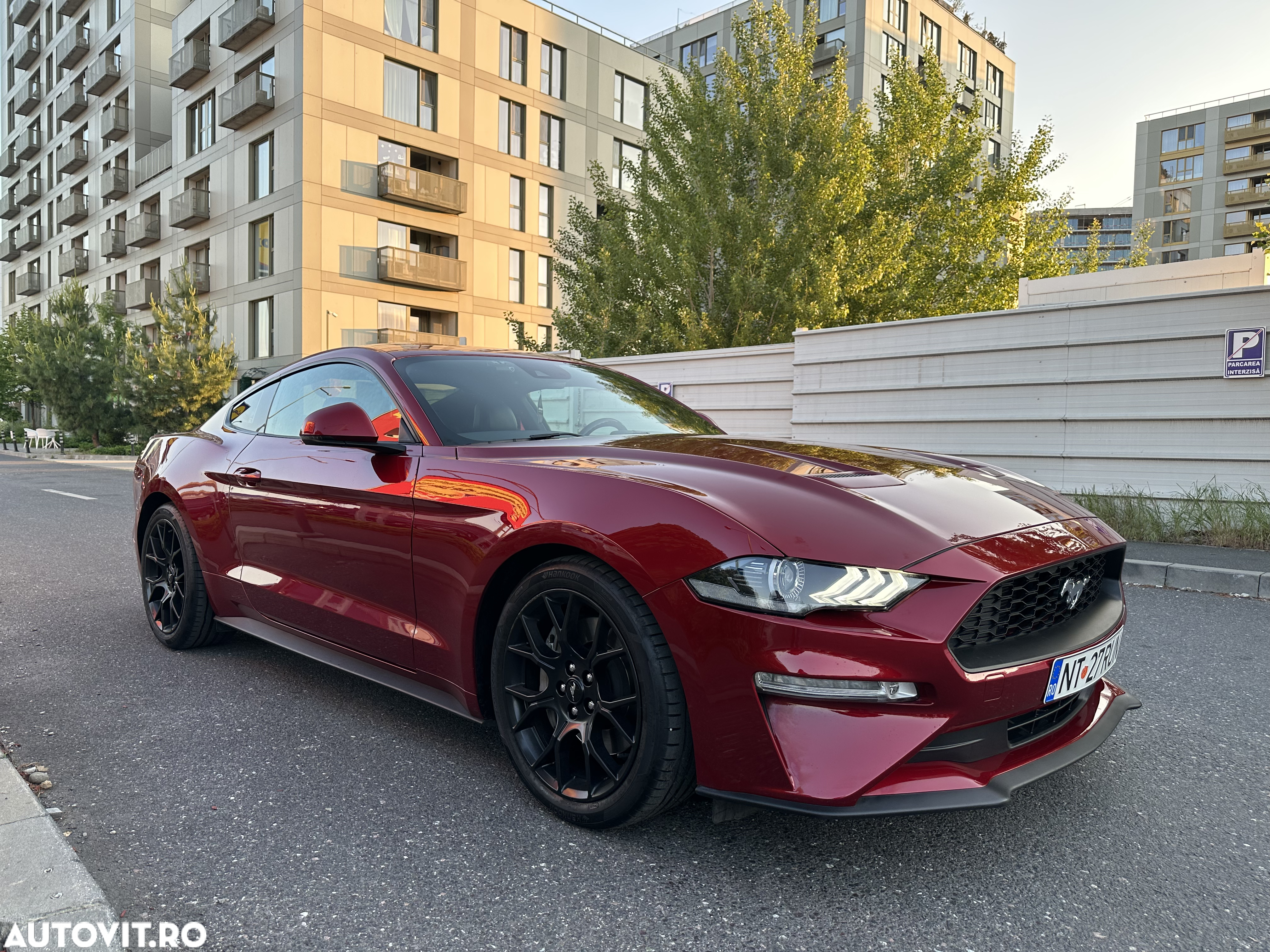 Ford Mustang - 2