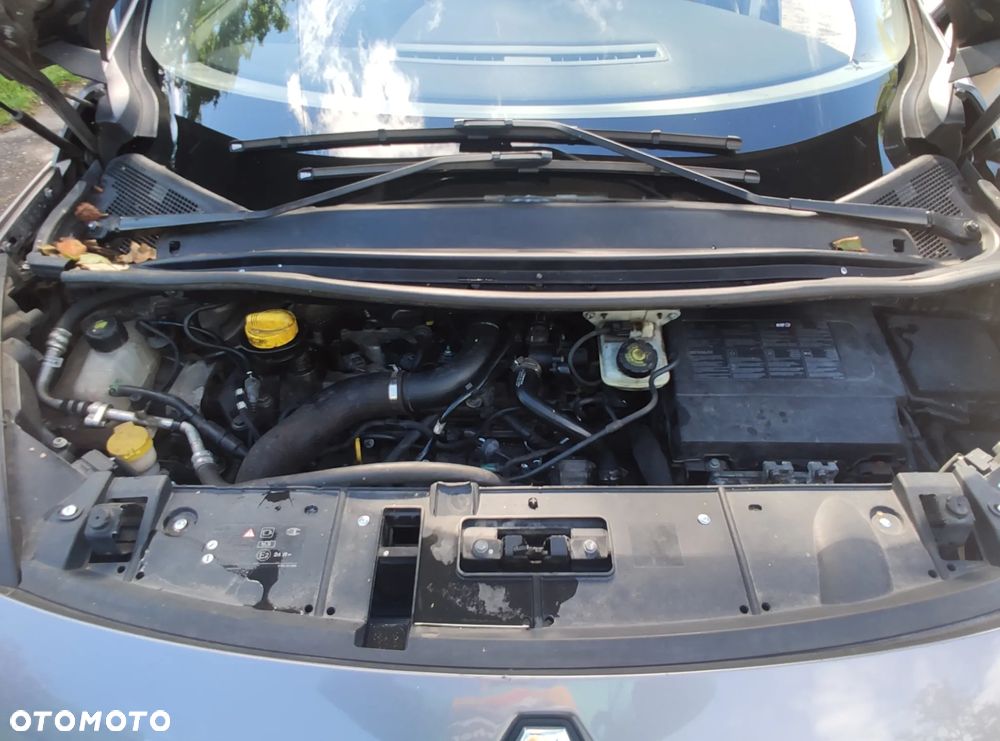 Renault Scenic - 18