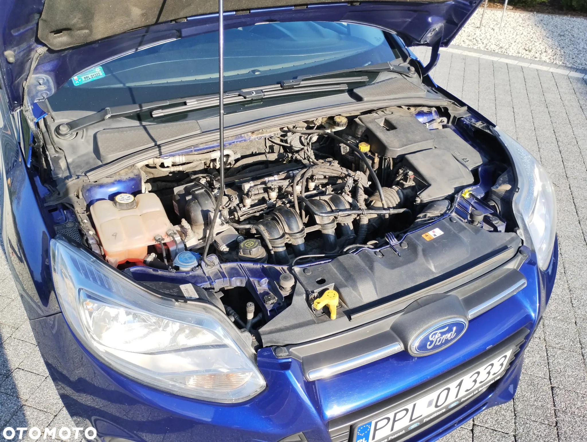 Ford Focus 1.6 Trend - 7