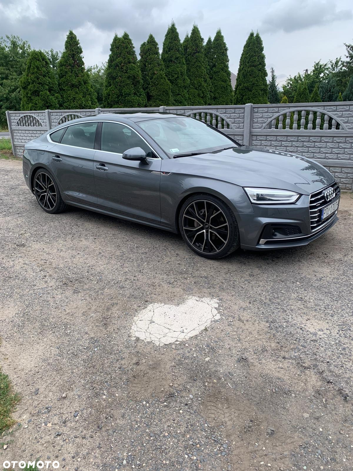 Audi A5 3.0 TDI Quattro Sport S tronic - 2