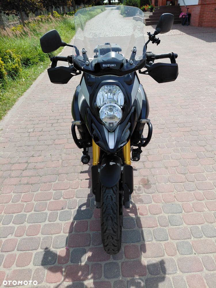 Suzuki DL - 8