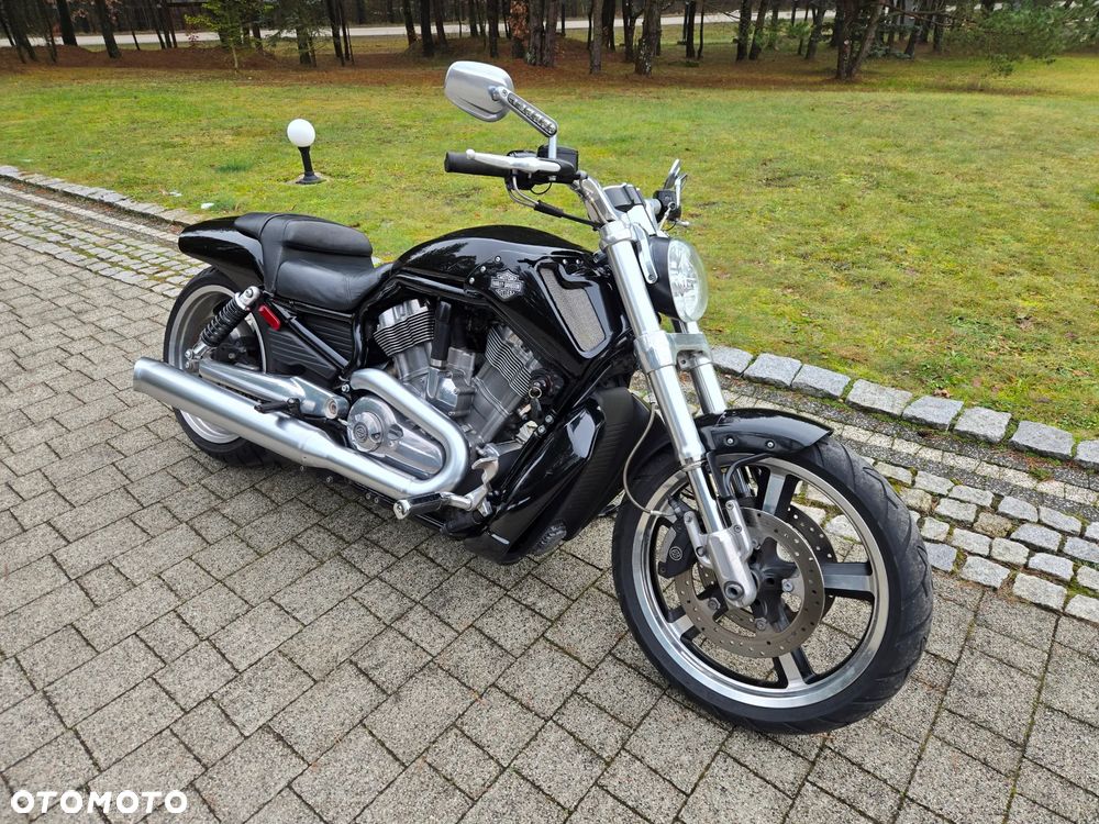 Harley-Davidson V-Rod Muscle - 4