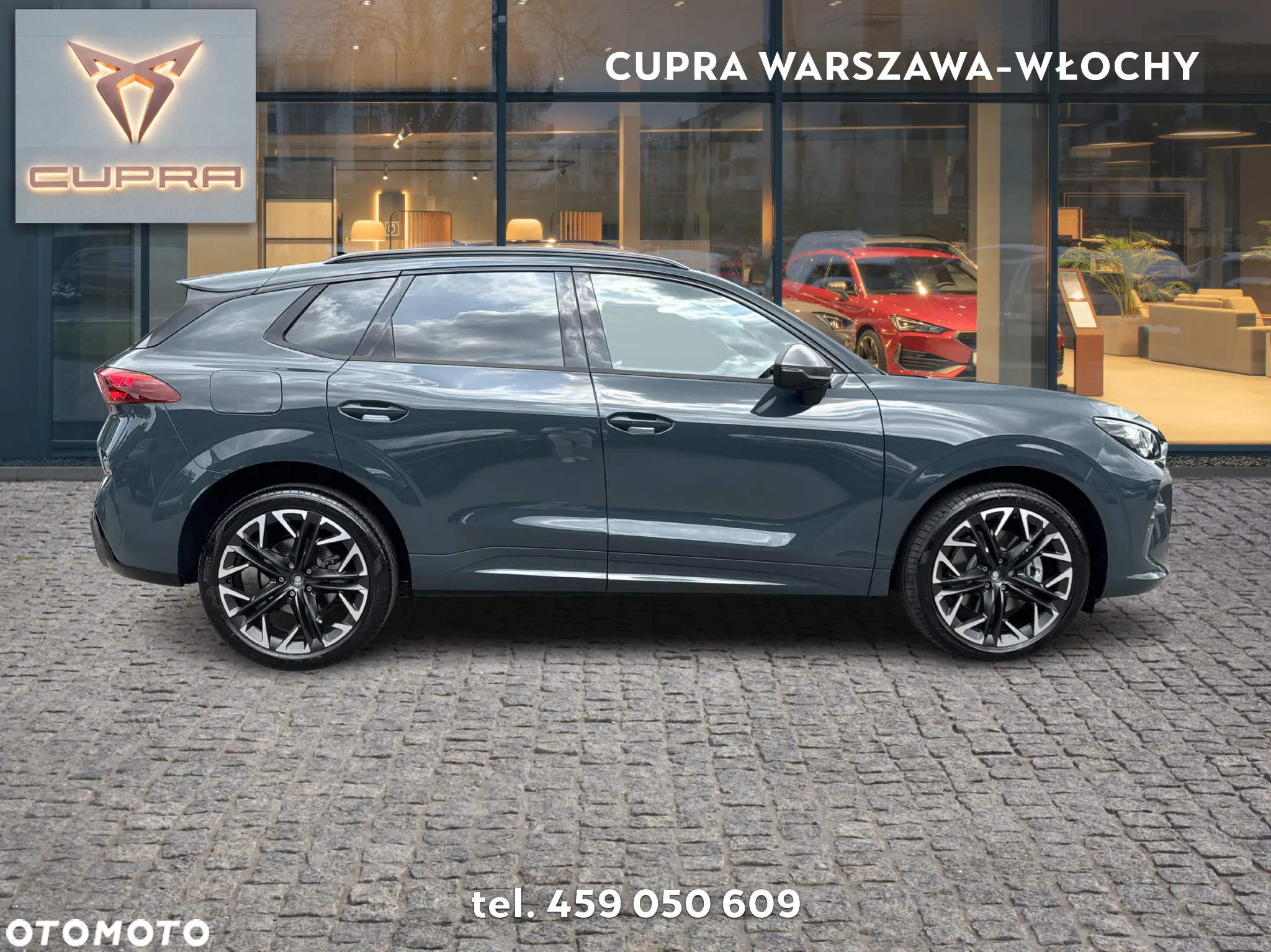 Cupra Terramar 2.0 TSI 4Drive DSG - 6
