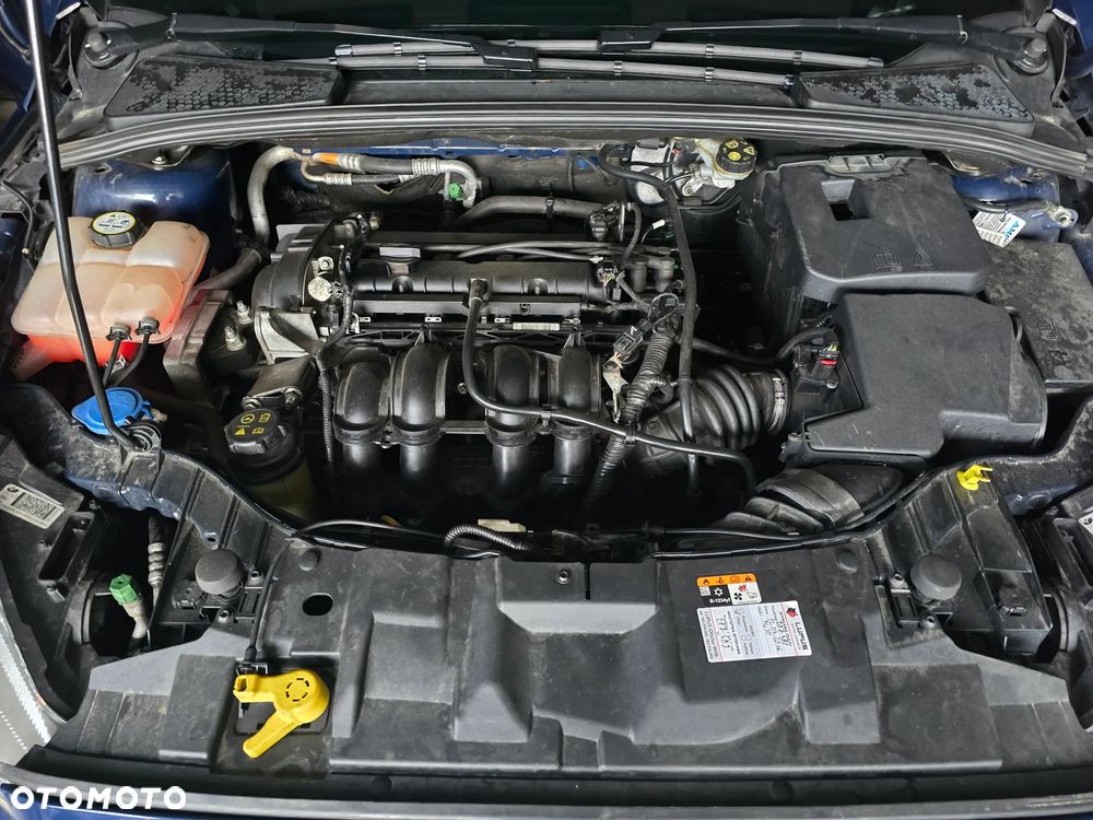 Ford Focus 1.6 Trend Sport - 26