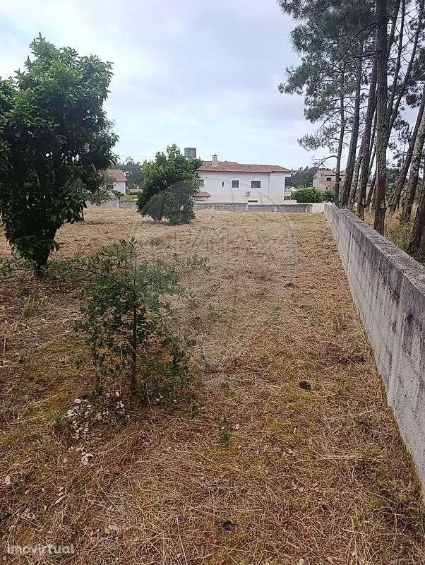 Terreno  para venda - Grande imagem: 4/12